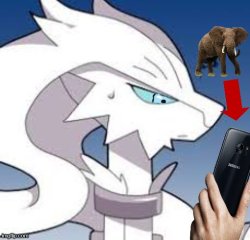 reshiram elephant in the room Meme Template