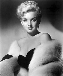 Please Type "Rabbi Rothschild" In YouTube & Filter By "Live" Meme Template