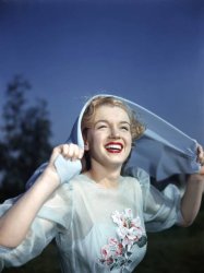 Please Type "Rabbi Rothschild" In YouTube & Filter By "Live" Meme Template