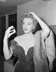 Please Type "Rabbi Rothschild" In YouTube & Filter By "Live" Meme Template