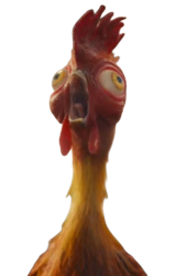 Hei Hei (Live Action) Screaming PNG Meme Template