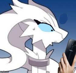 reshiram with eyelashes holding phone in concern Meme Template