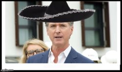 Greasy Gavin Newsom Sombrero Meme Template