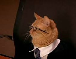 Cat lawyer Meme Template