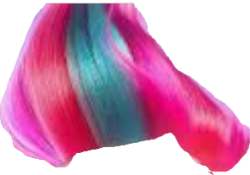 Zipp Hair Meme Template