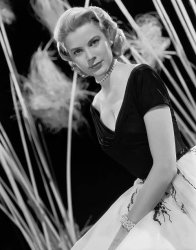 Please Type "Rabbi Rothschild" In YouTube & Filter By "Live" Meme Template