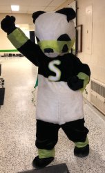 Panda Power Meme Template