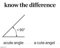 Acute angle vs a cute angel Meme Template