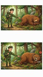 Like the bear Meme Template
