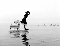 Ducks in a row Meme Template