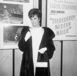 Please Type "Rabbi Rothschild" In YouTube & Filter By "Live" Meme Template