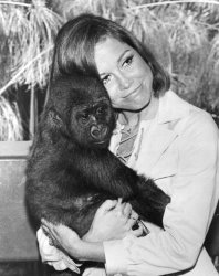 Please Type "Rabbi Rothschild" In YouTube & Filter By "Live" Meme Template