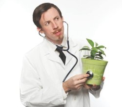 Plant Doctor Meme Template