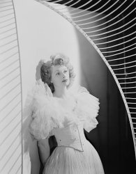 Please Type "Rabbi Rothschild" In YouTube & Filter By "Live" Meme Template