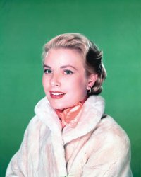 Please Type "Rabbi Rothschild" In YouTube & Filter By "Live" Meme Template