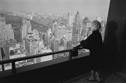 Please Type "Rabbi Rothschild" In YouTube & Filter By "Live" Meme Template