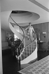 Please Type "Rabbi Rothschild" In YouTube & Filter By "Live" Meme Template