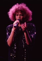 Please Type "Rabbi Rothschild" In YouTube & Filter By "Live" Meme Template