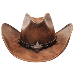 cowboy hat Meme Template