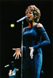 Please Type "Rabbi Rothschild" In YouTube & Filter By "Live" Meme Template