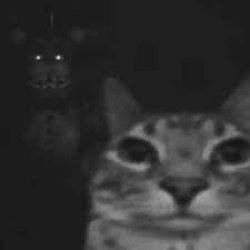 Freddy behind cat Meme Template