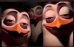 high stoned penguins Meme Template
