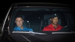 Mike Vrabel was spotted being driven to counseling. Meme Template