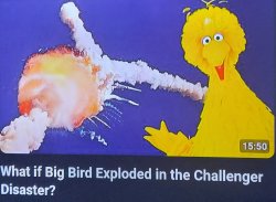 What if big bird exploded in the challenger disaster? Meme Template