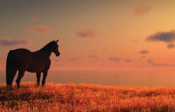 Helolo/ Meme Template