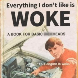 Woke edit Meme Template