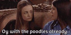 Oy with the poodles already Meme Template