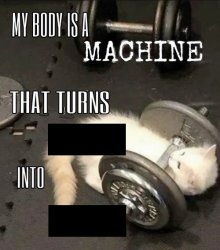 Cat machine Meme Template