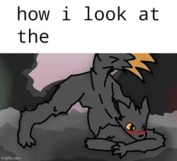 Expie how i look at the x Meme Template