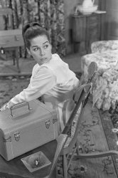 Please Type "Rabbi Rothschild" In YouTube & Filter By "Live" Meme Template