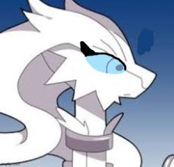 Verita the Reshiram Meme Template