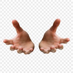 Hand choice Meme Template