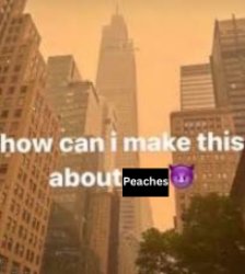how can i make this about Peaches Meme Template