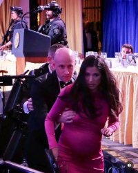 Meat Shield Katie Miller Meme Template