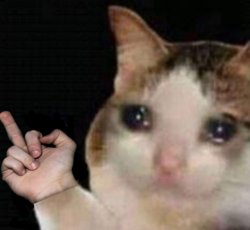 Crying cat middle finger Meme Template