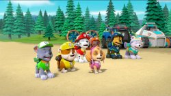 The pups have a good laugh! Meme Template