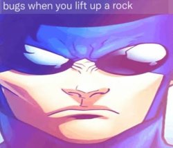bugs when you lift up a rock (invincible) Meme Template