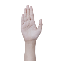 hand Meme Template