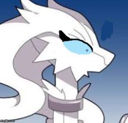 Verita the Reshiram shocked Meme Template