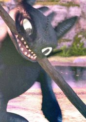 Toothless with a stick Meme Template