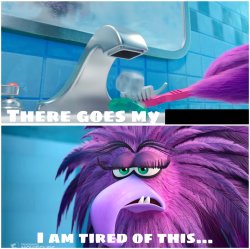There goes my toothpaste. Meme Template