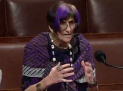 Rep. Rosa DeLauro Meme Template