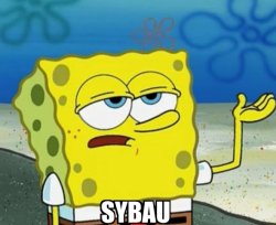 sybau Meme Template