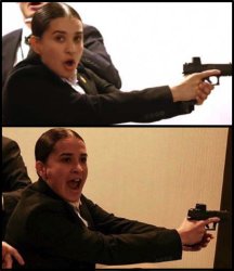 White House Correspondents' Dinner woman agent Meme Template