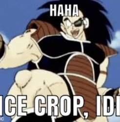 Haha nice crop idiot Meme Template