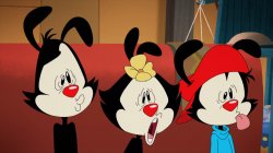Animaniacs - What are we watching? Meme Template